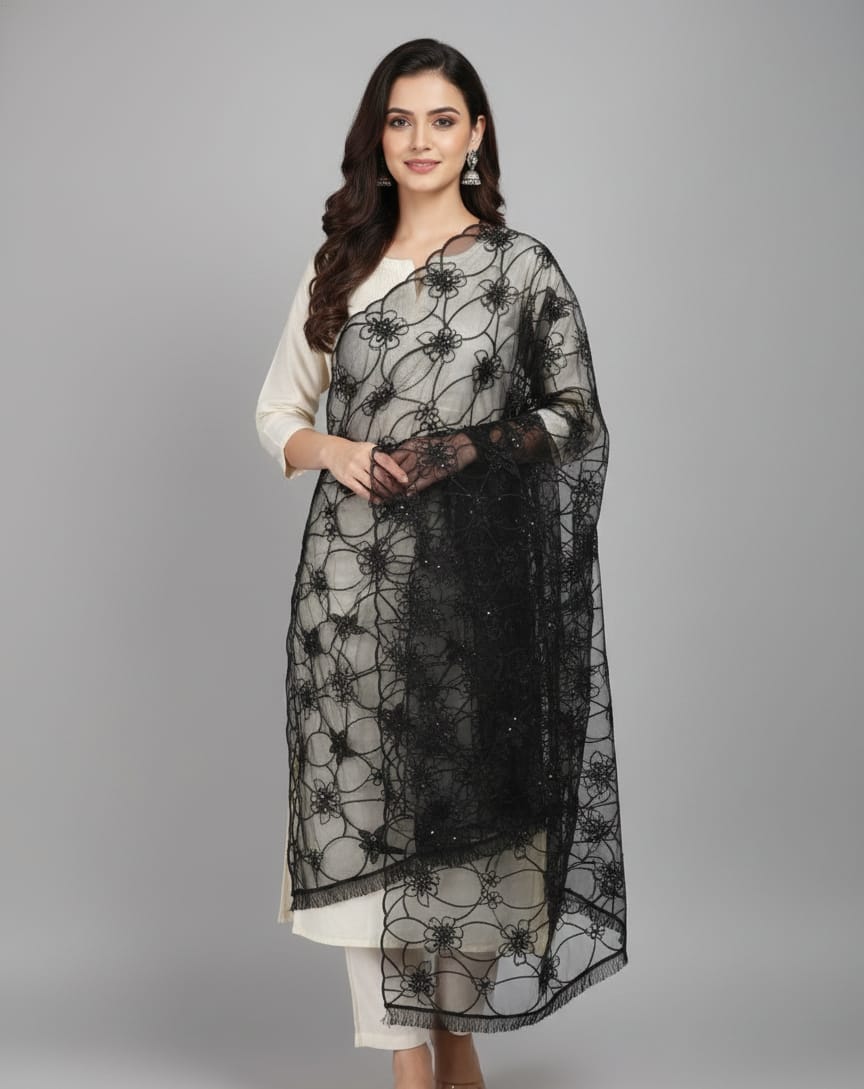 Aasmani Organza dupatta